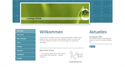 Desktop Screenshot of lufelsenstein.com